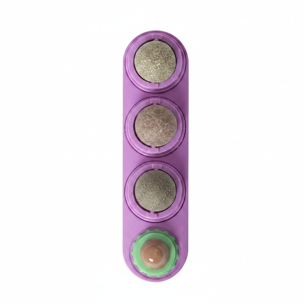 4 In 1 Catnip Ball Toy: The Ultimate Dental Care & Fun for Your Feline - VibeDroid