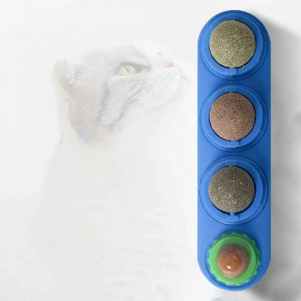 4 In 1 Catnip Ball Toy: The Ultimate Dental Care & Fun for Your Feline - VibeDroid