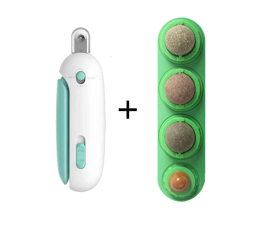 4 In 1 Catnip Ball Toy: The Ultimate Dental Care & Fun for Your Feline - VibeDroid