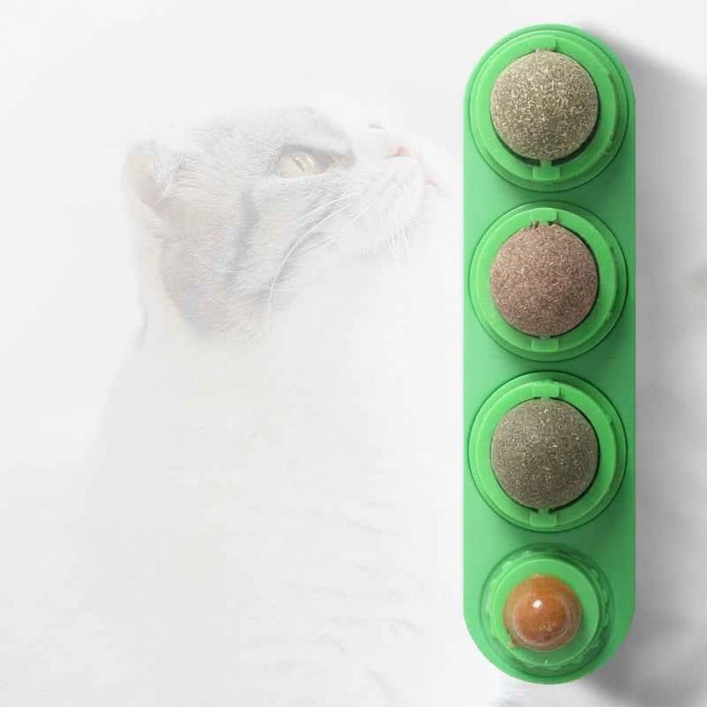4 In 1 Catnip Ball Toy: The Ultimate Dental Care & Fun for Your Feline - VibeDroid
