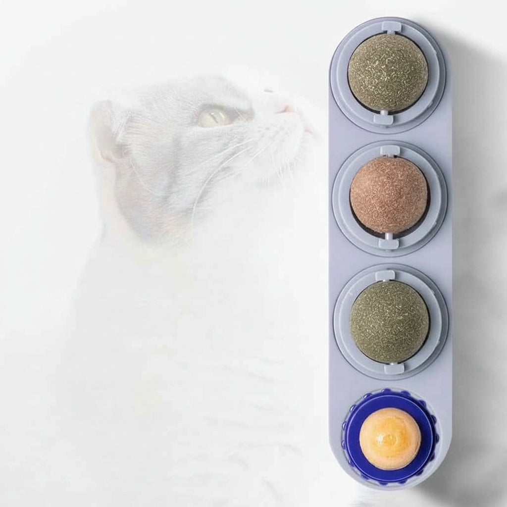 4 In 1 Catnip Ball Toy: The Ultimate Dental Care & Fun for Your Feline - VibeDroid