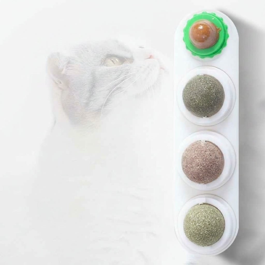 4 In 1 Catnip Ball Toy: The Ultimate Dental Care & Fun for Your Feline - VibeDroid